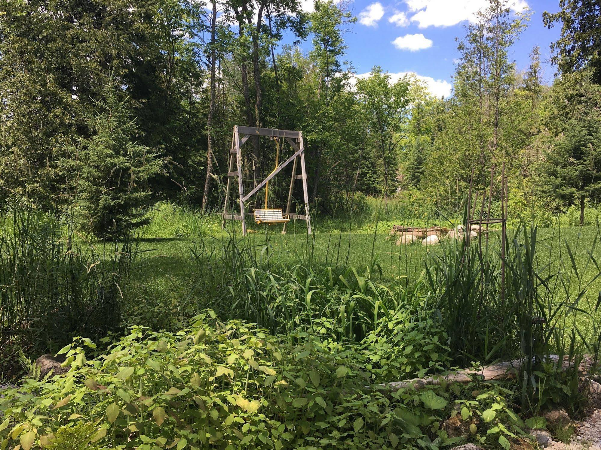 The Treehouse Bed And Breakfast Flesherton Экстерьер фото